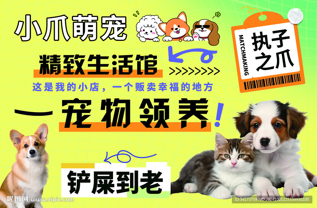 宠物