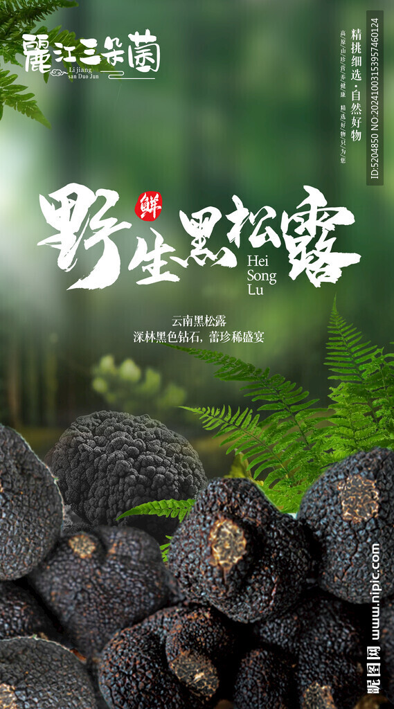 黑松露