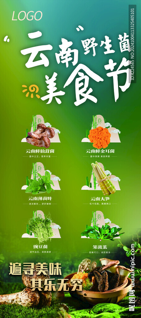 云南野生菌美食节活动展架