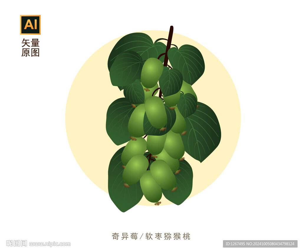 奇异莓插画