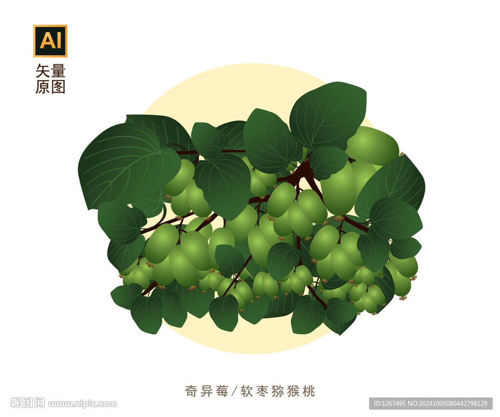 奇异莓插画