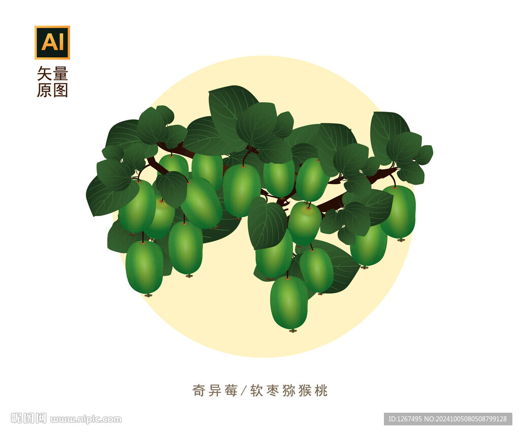 软枣猕猴桃