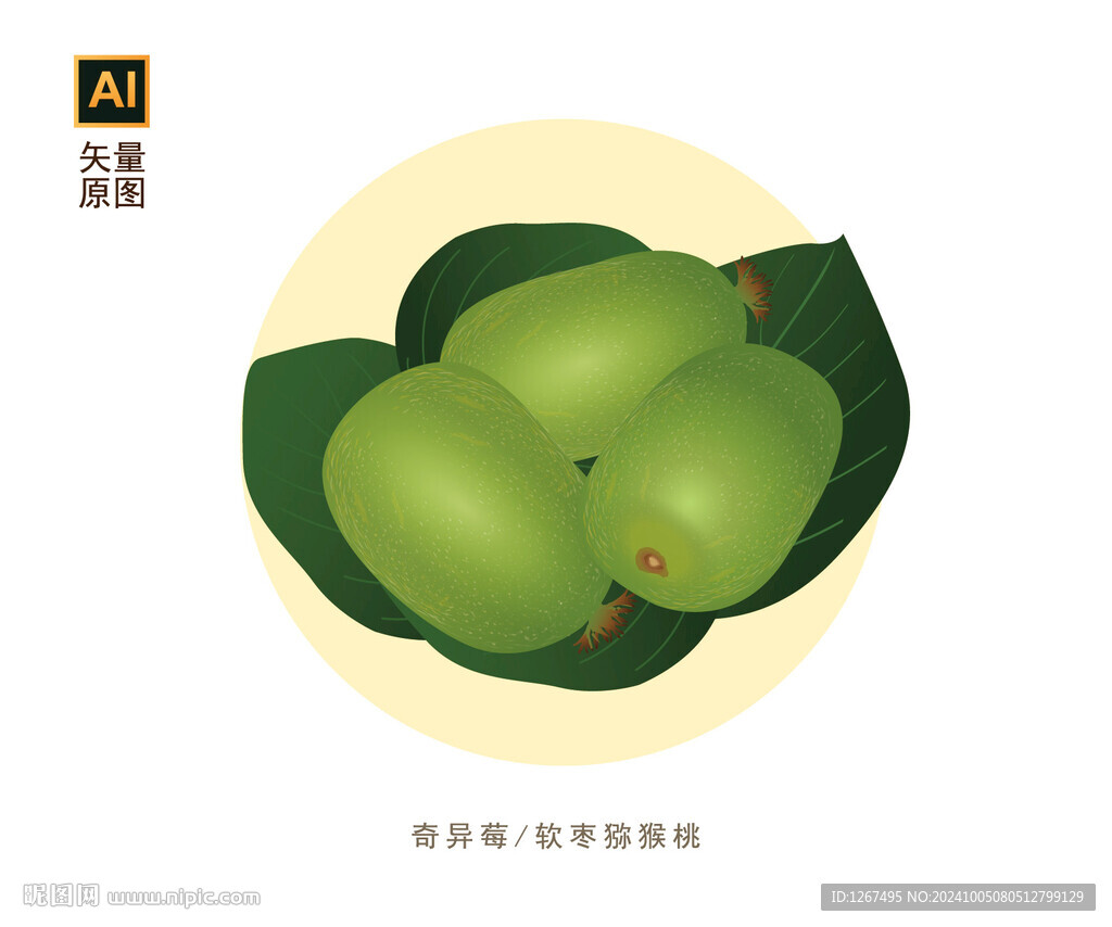 软枣猕猴桃