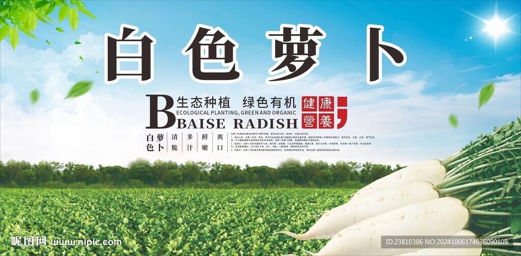 白萝卜