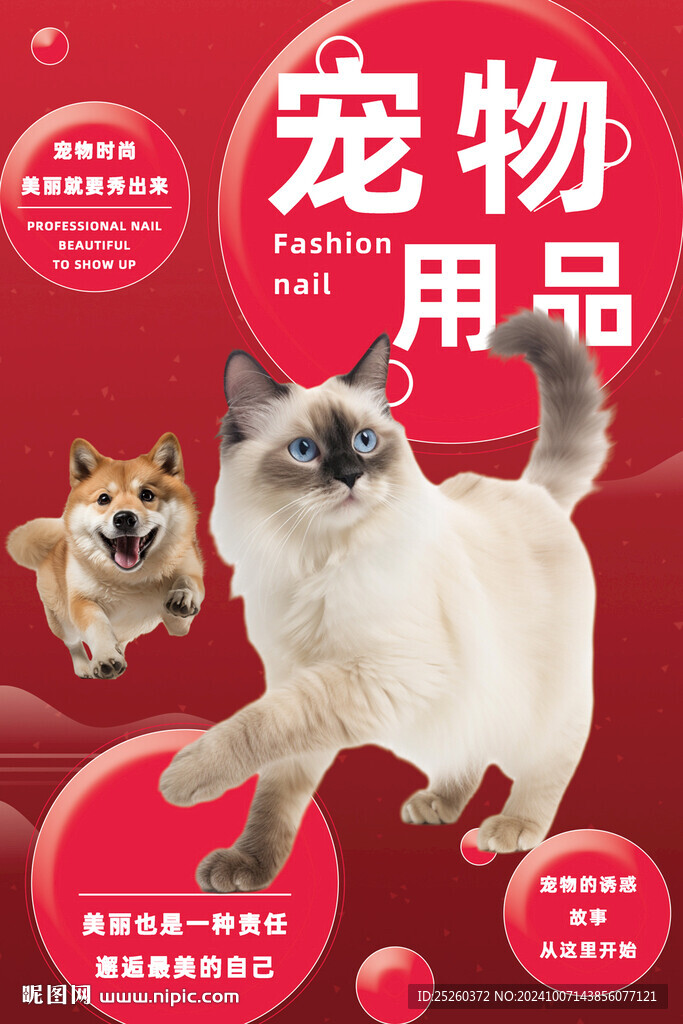 宠物