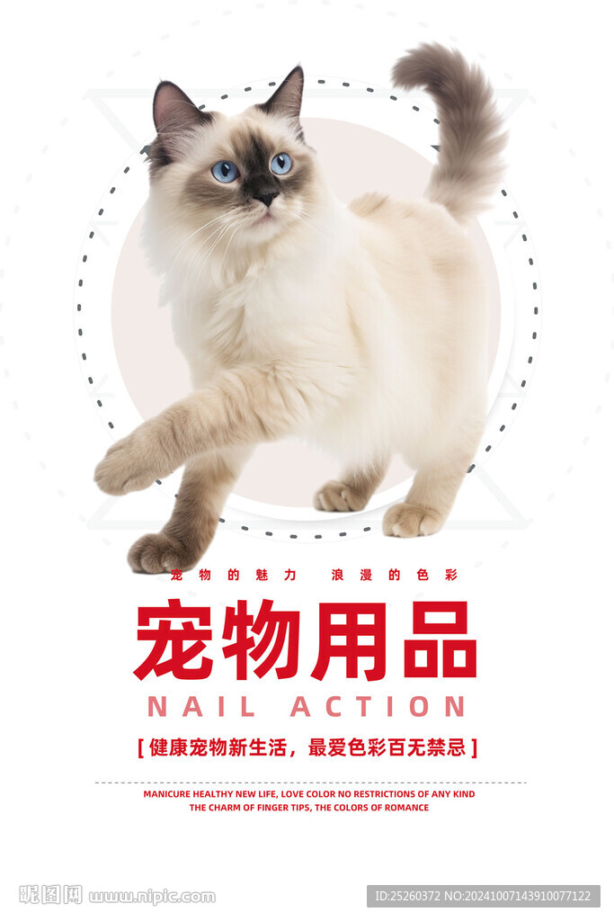 宠物
