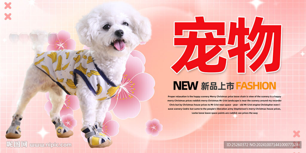 宠物