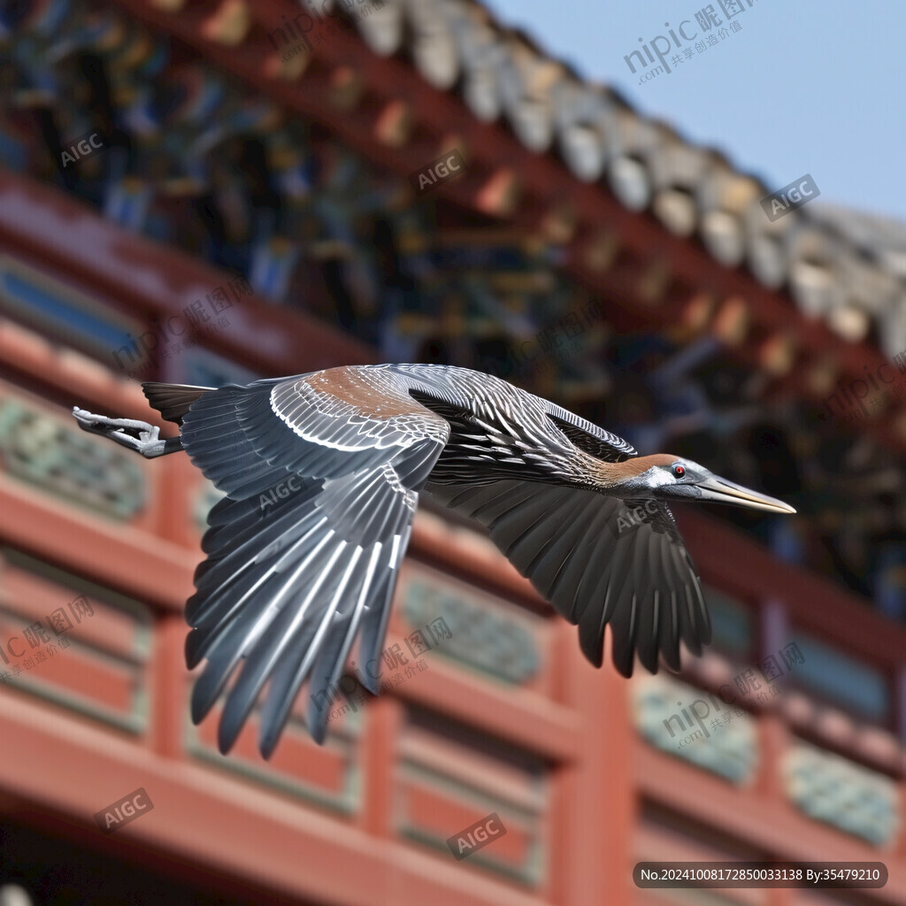 翠鸟展翅