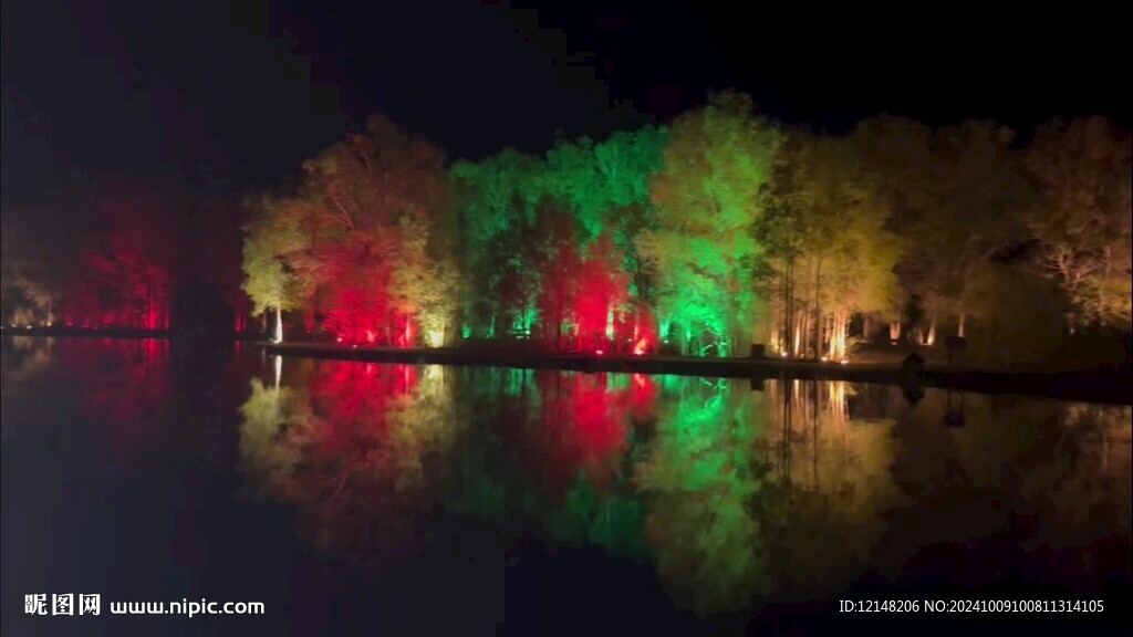 胡杨林夜景