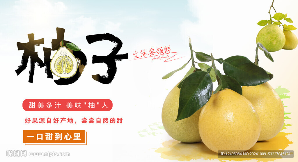 柚子海报