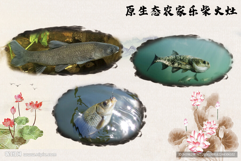 农家乐海报