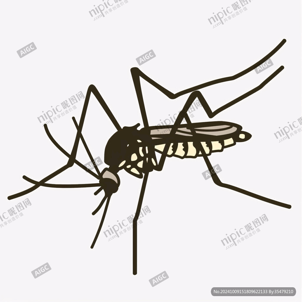 蚊子线描图
