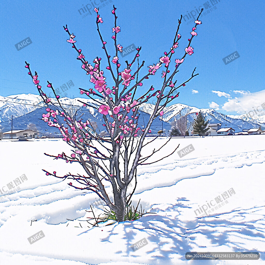 雪景