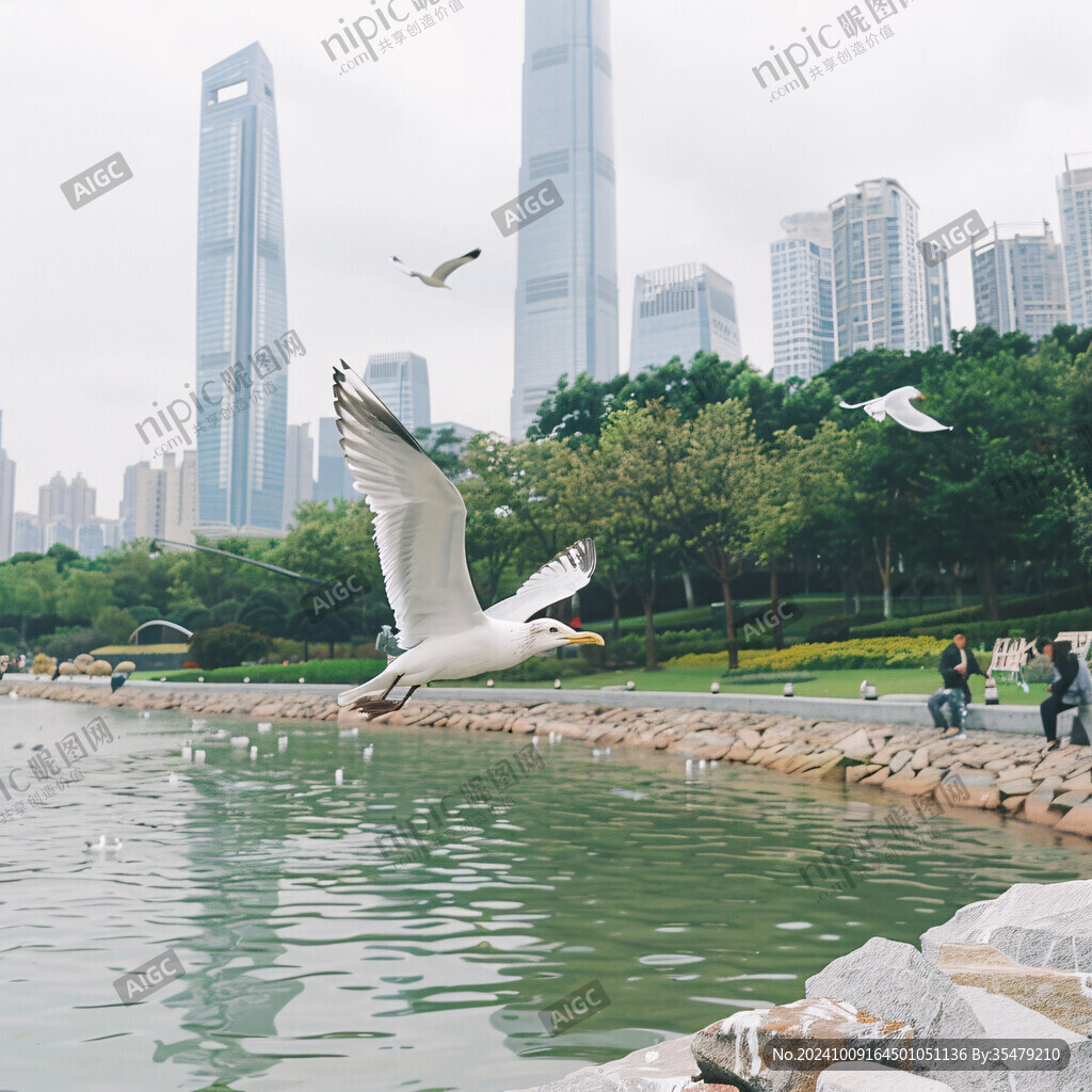 外滩展翅飞翔的鸟儿