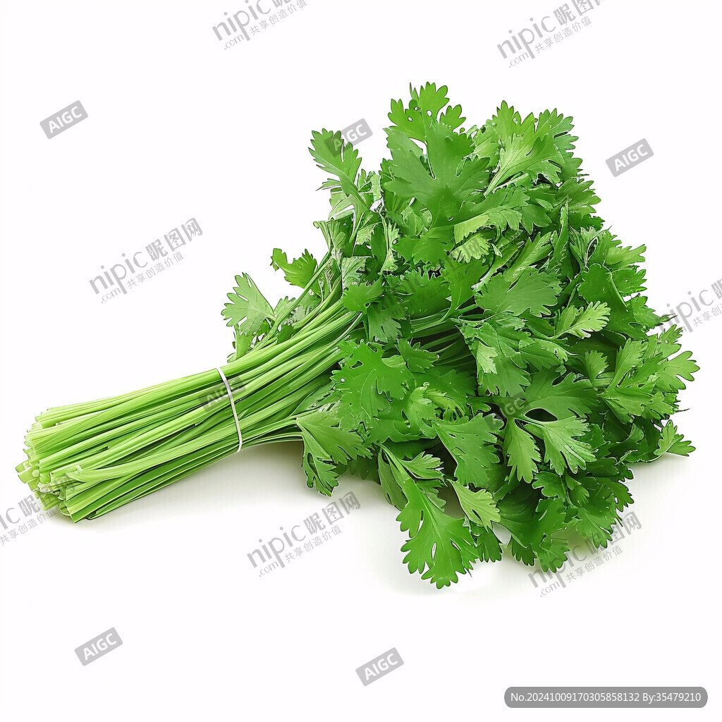 芹菜素材下载