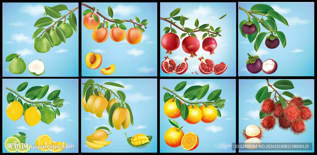 水果插画