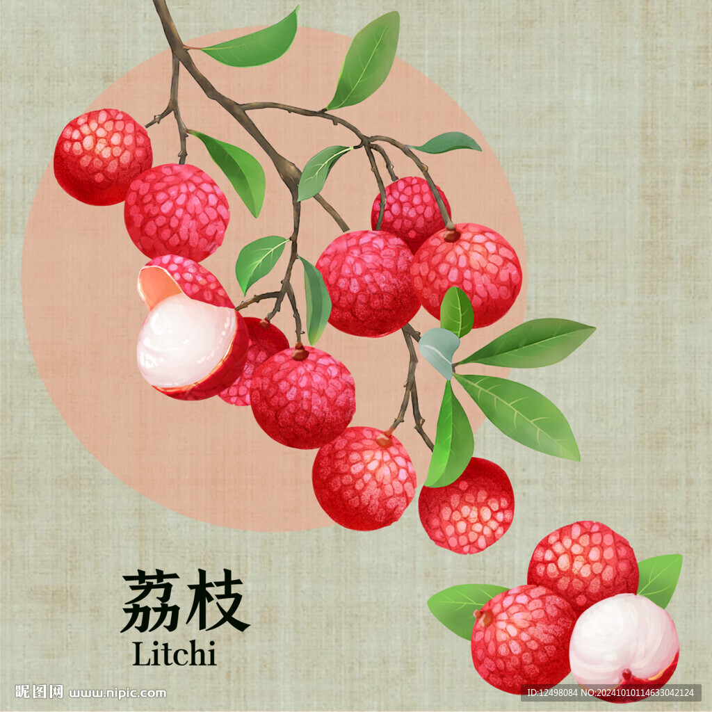 手绘荔枝