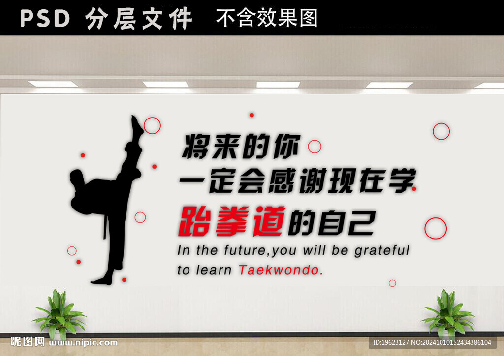 跆拳道 功夫文化墙 