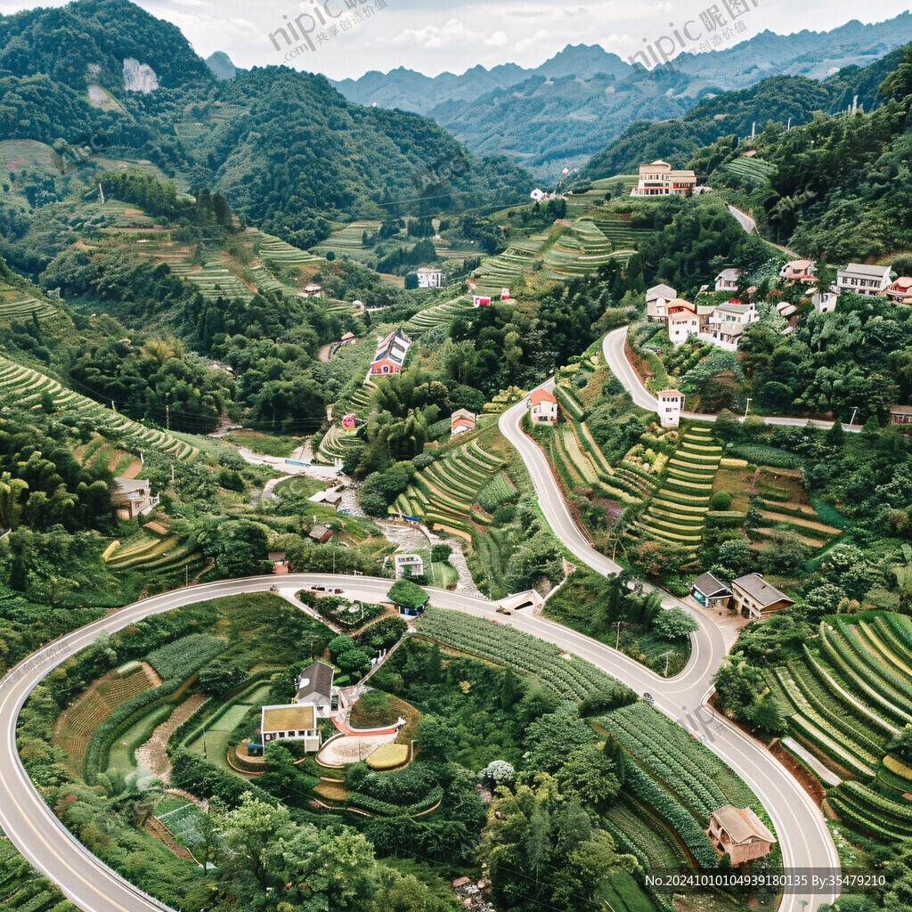 梯田产业果树马路