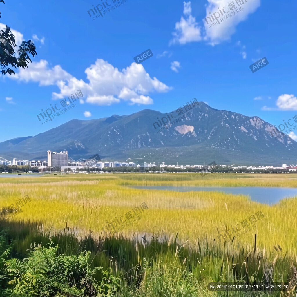 湿地公园滩涂水草远山