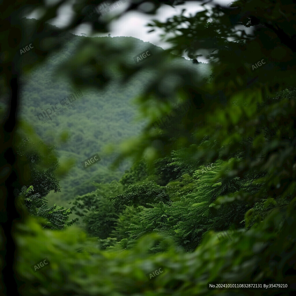 茂密茂盛深山密林