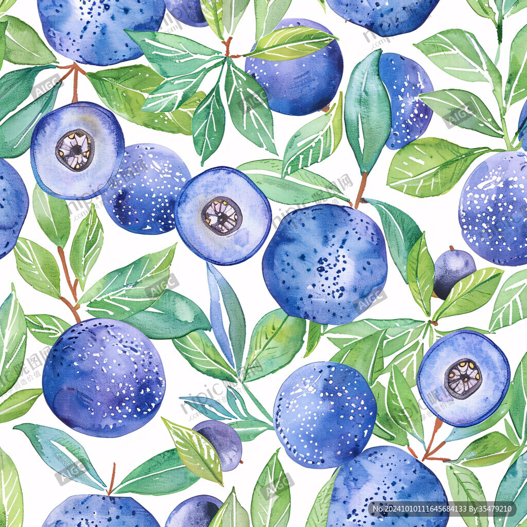 蓝莓水果包装插画