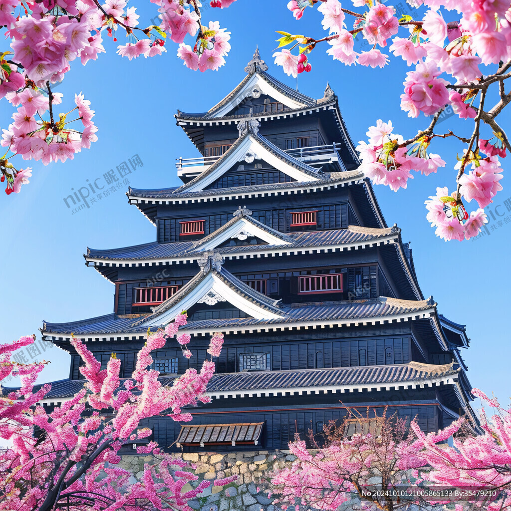 赏樱楼插画