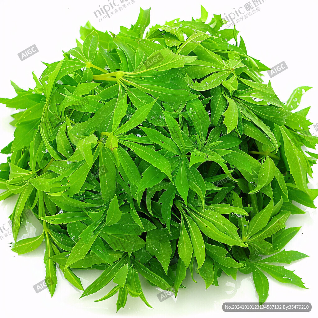 艾草高清图片