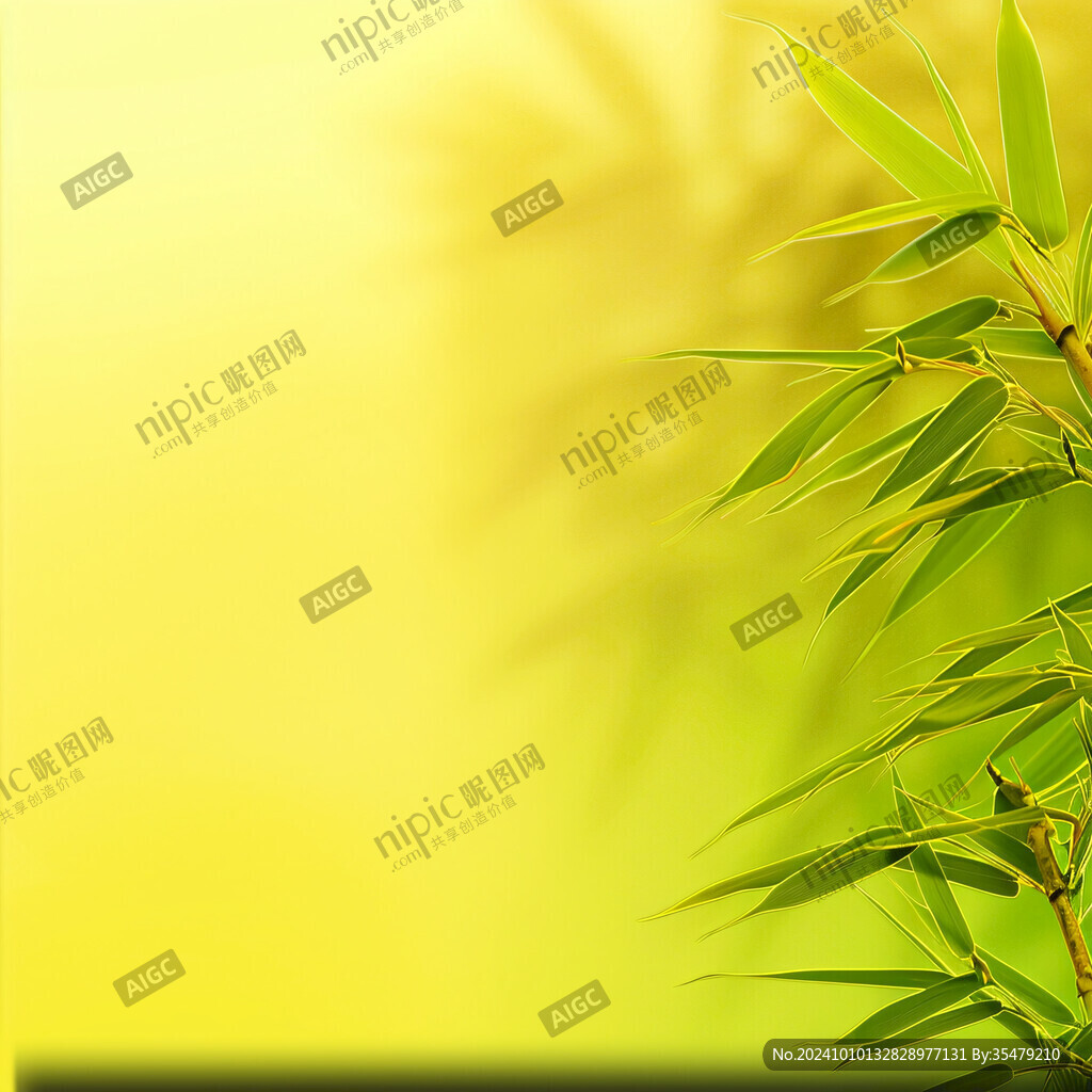 阳光通透竹子