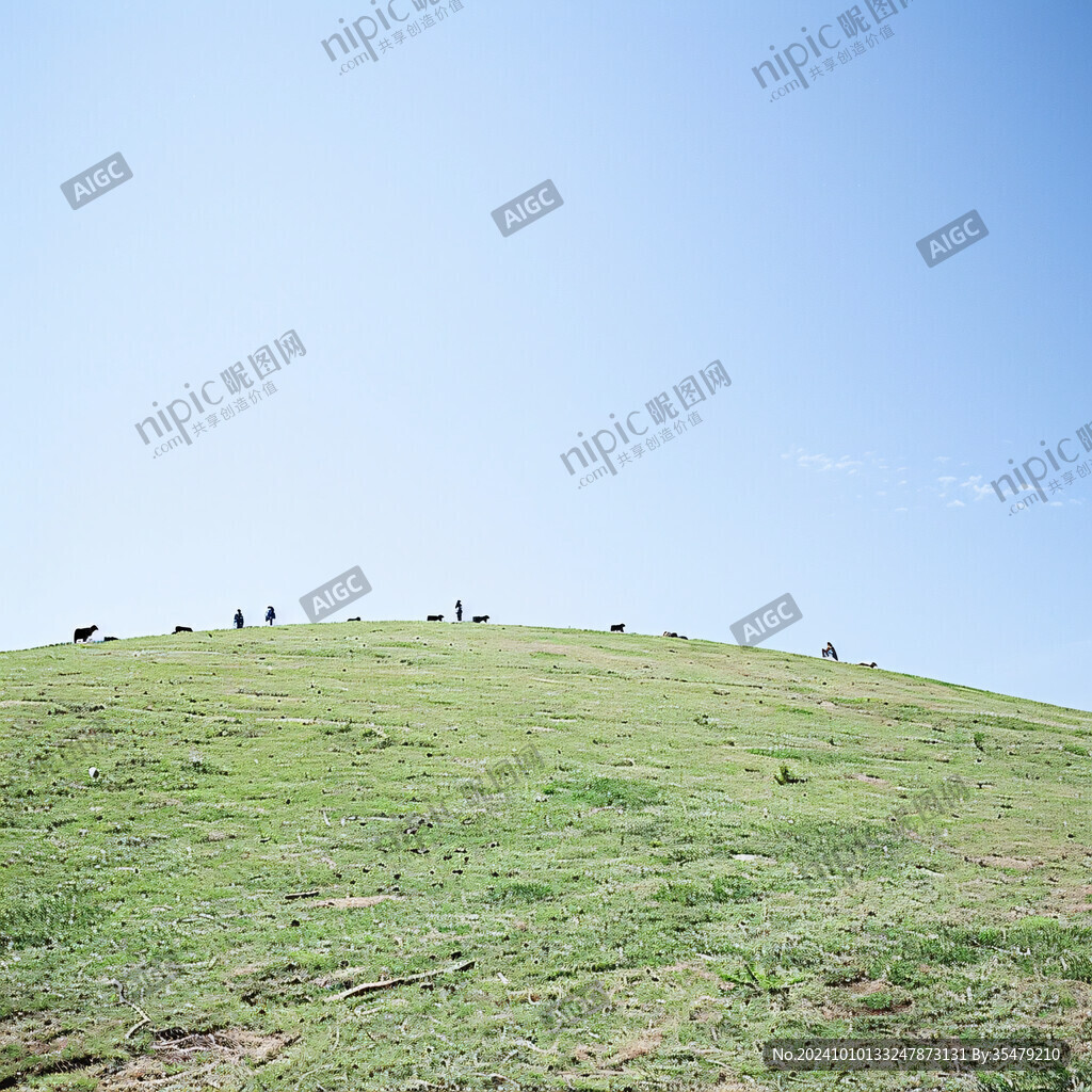 山坡坡地草地