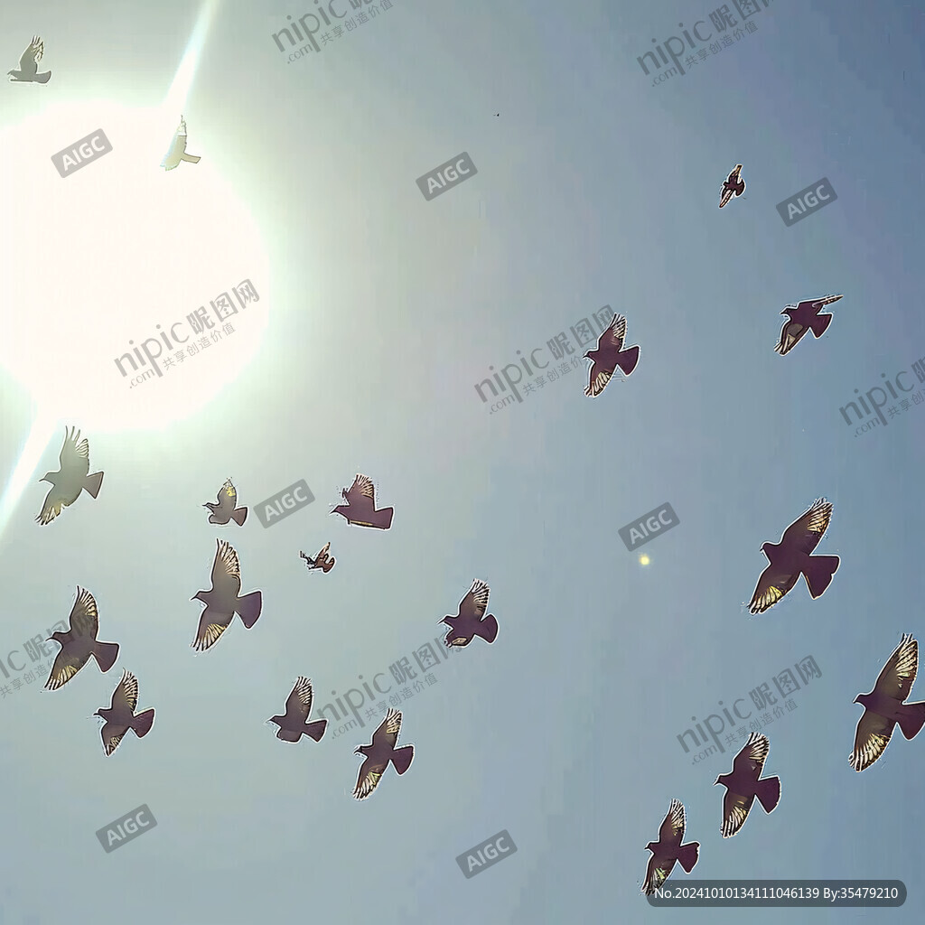 高空飞翔的鸽群
