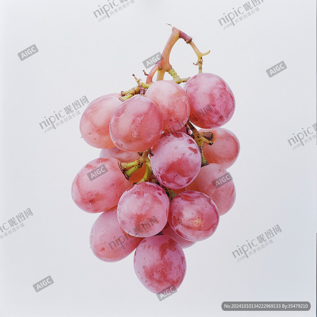 小红提素材