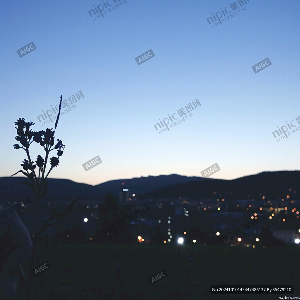 小山丘夜景