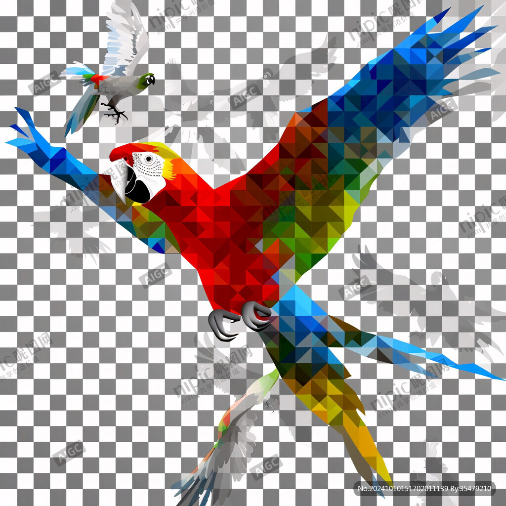 彩色鹦鹉插画