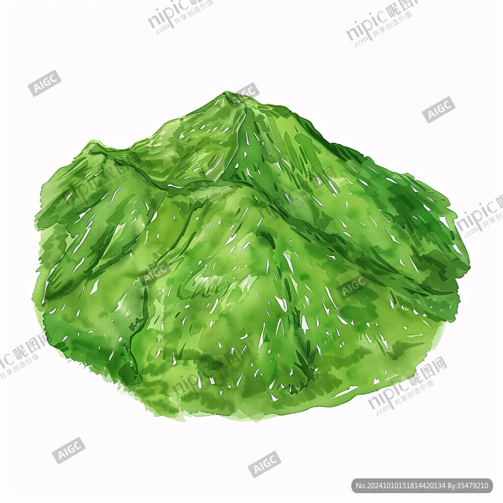 手绘生菜插画
