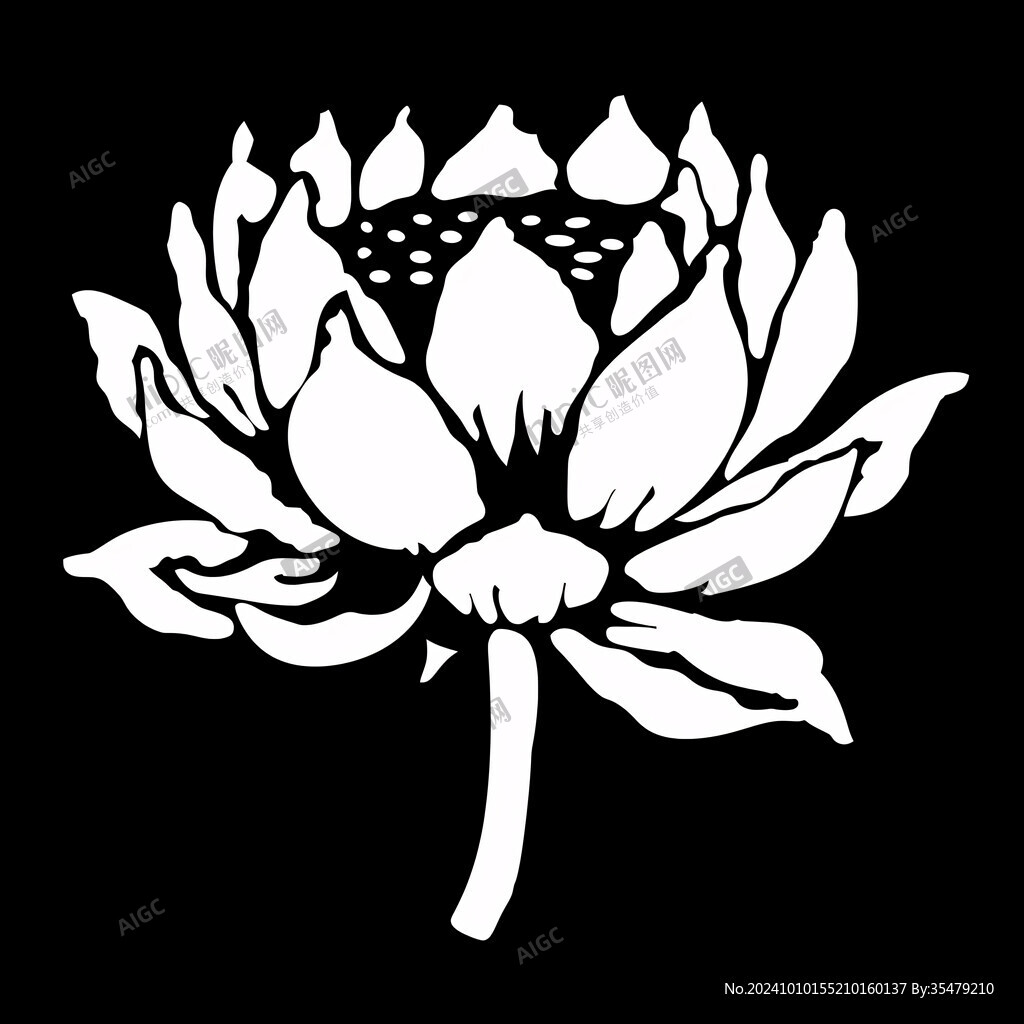 手绘莲花白