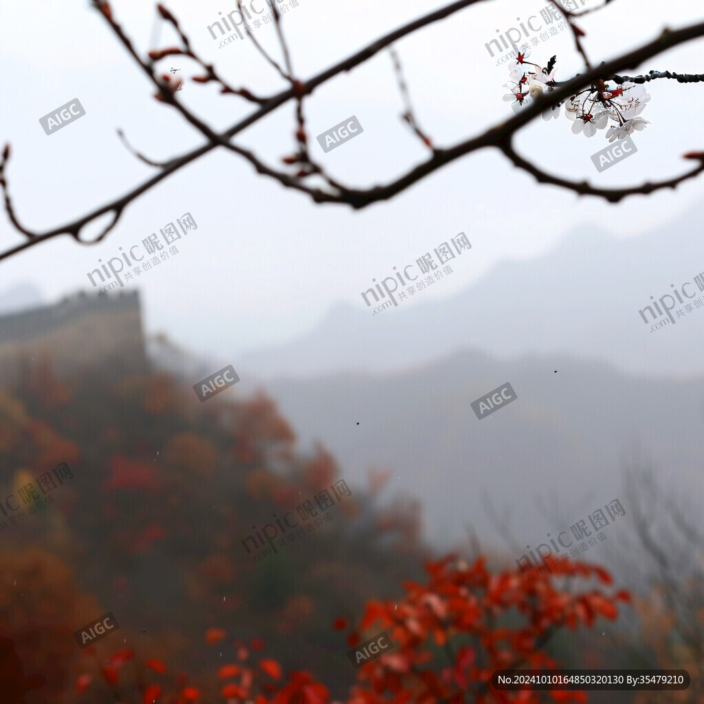 野长城秋天秋色