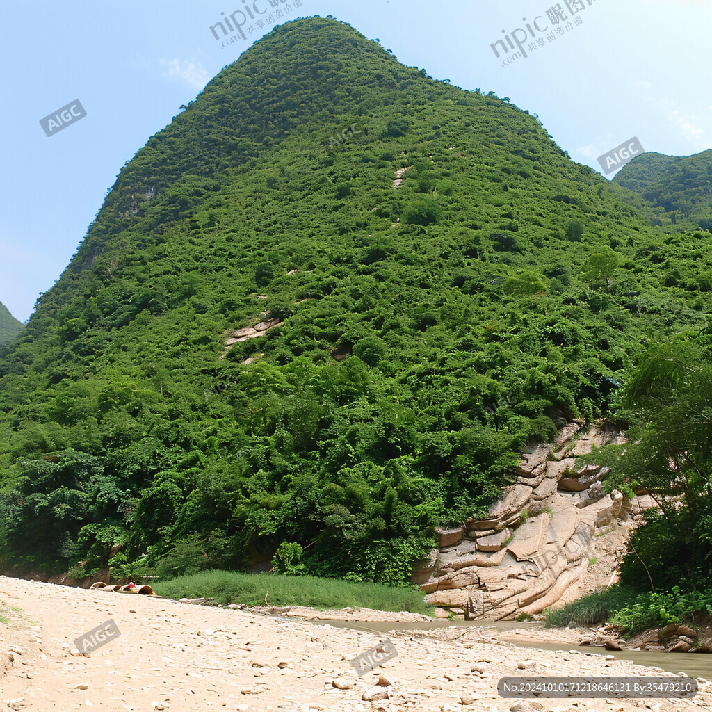 河谷沟壑植被
