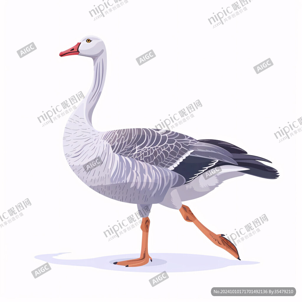 大白鹅