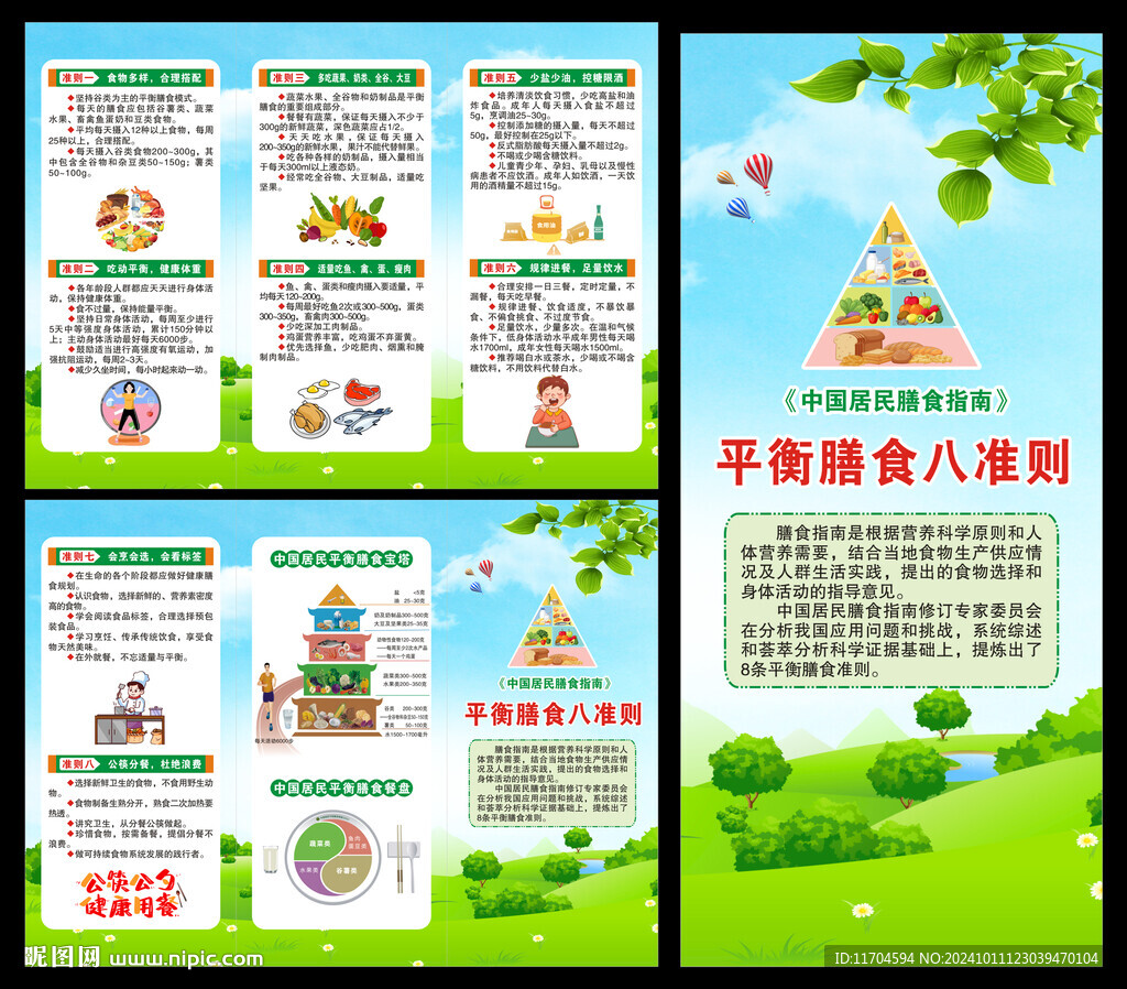 中国居民膳食指南三折页