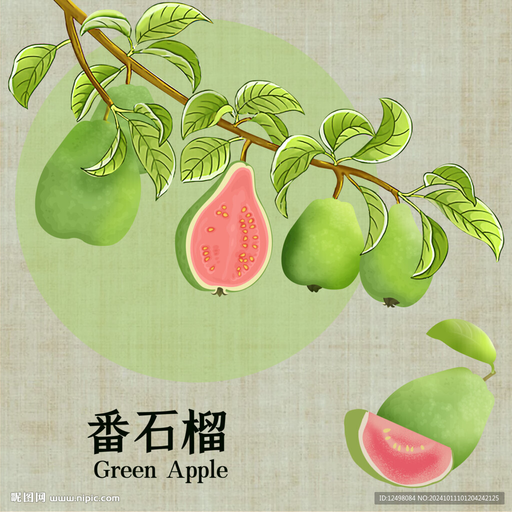 手绘芭乐