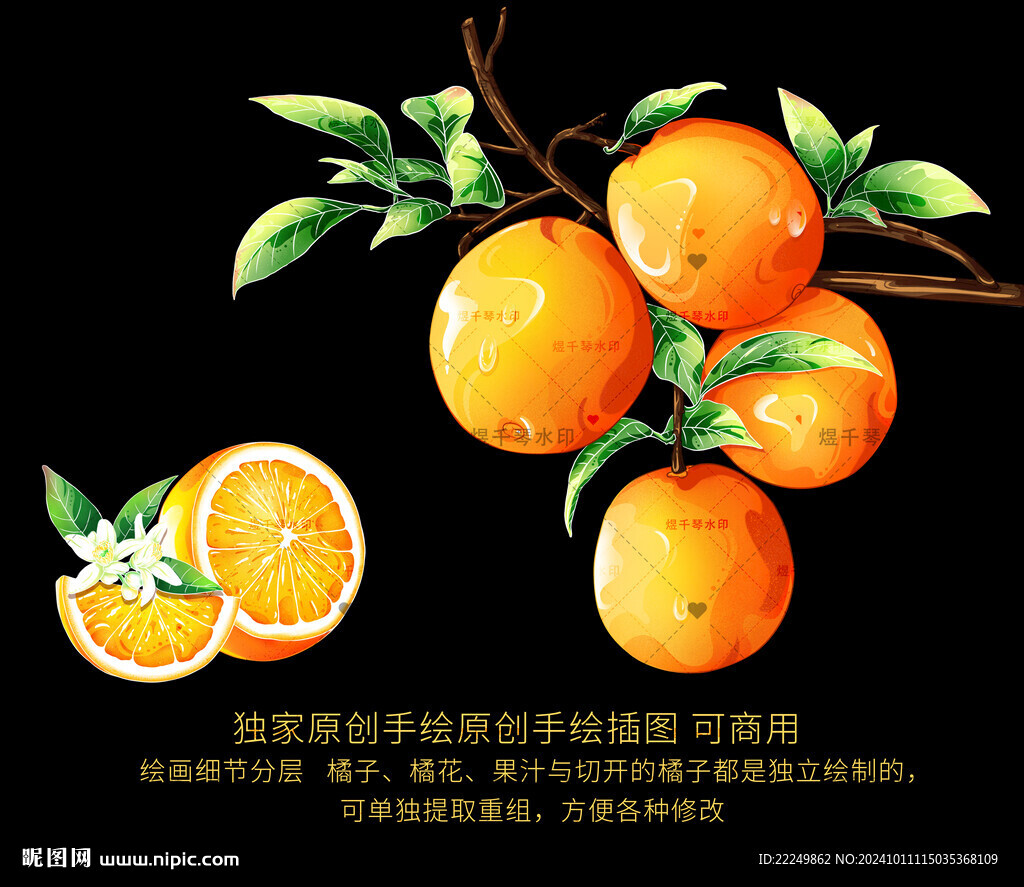 脐橙插画