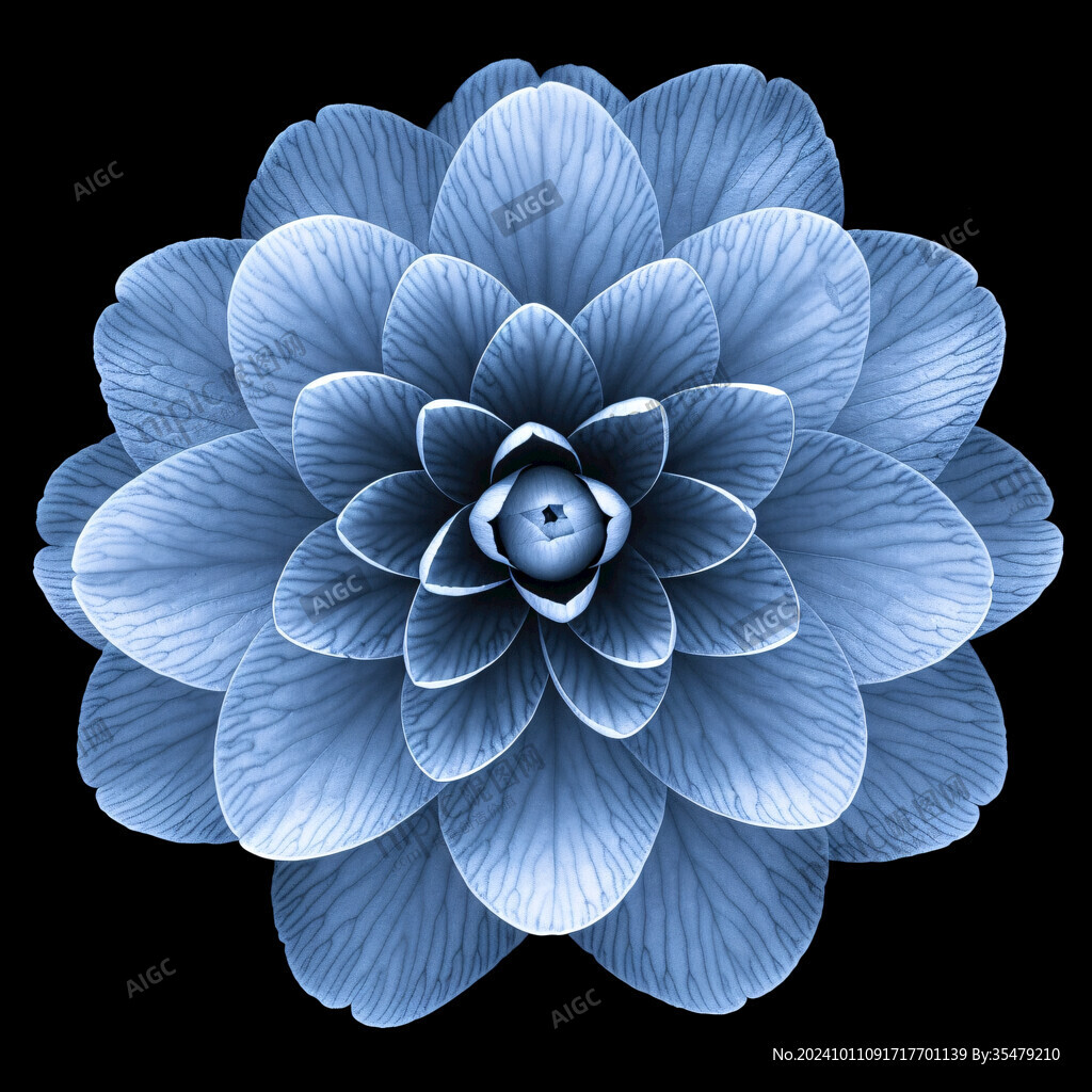 手绘数码花