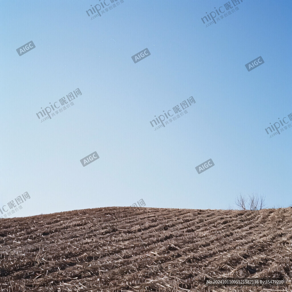黄土地田地耕地