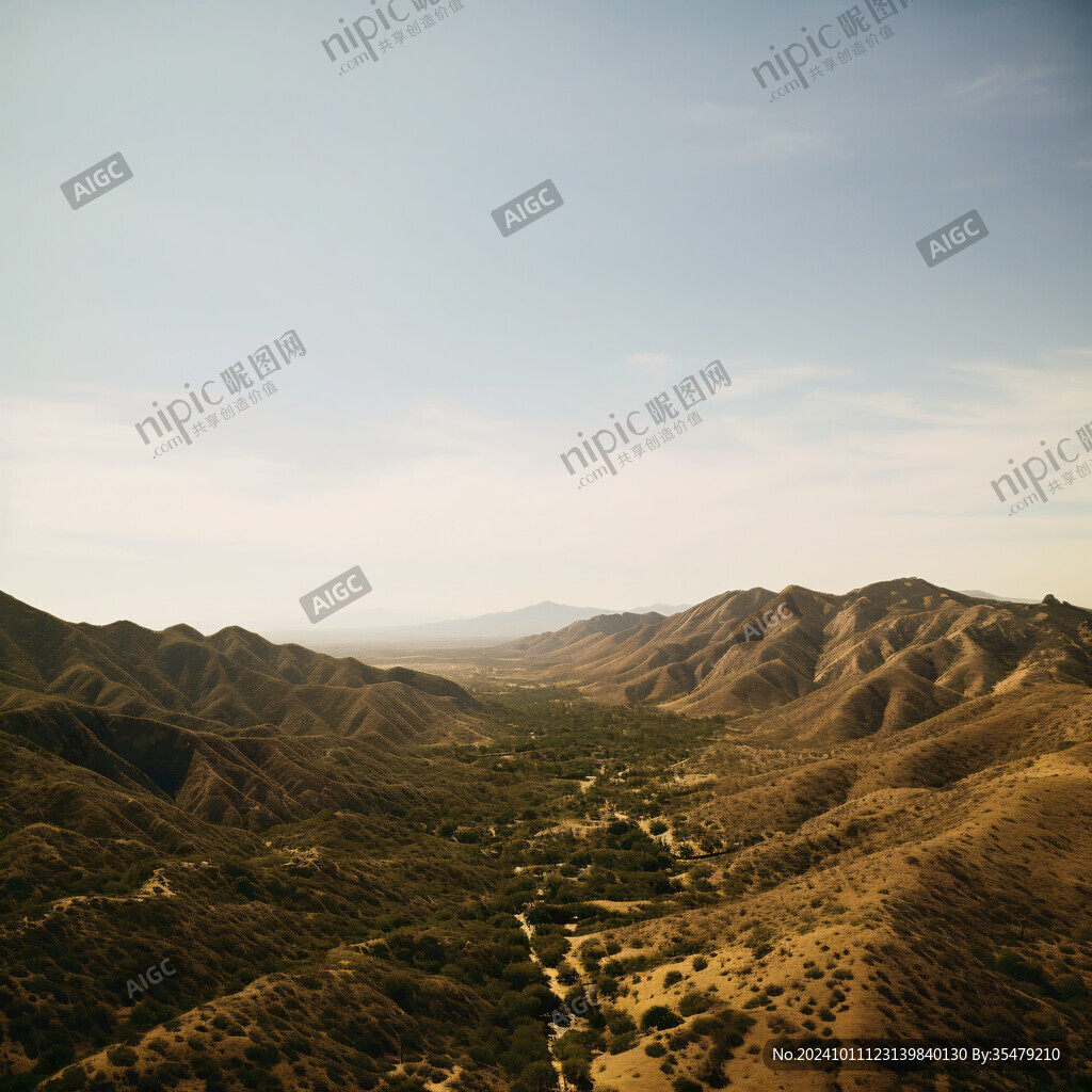 黄土高原荒山绿化