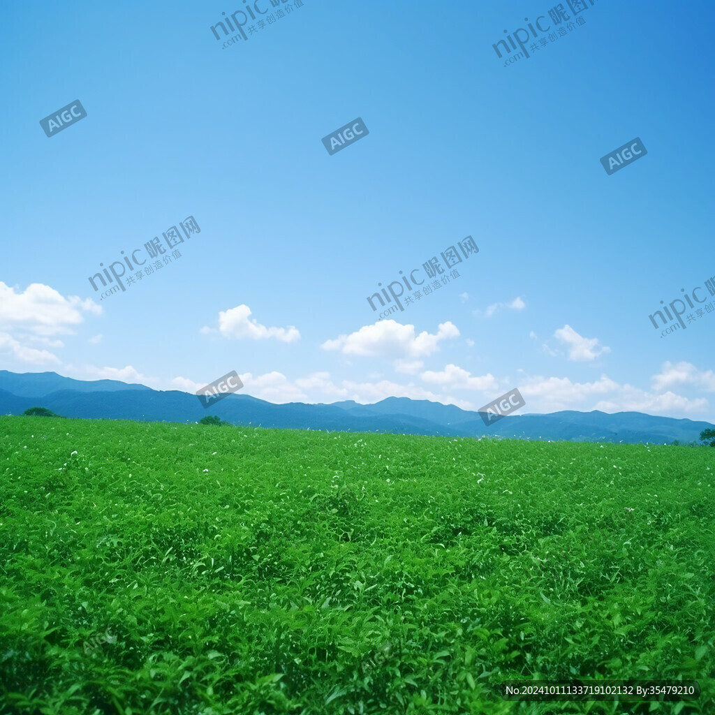 蓝天白云下花生地