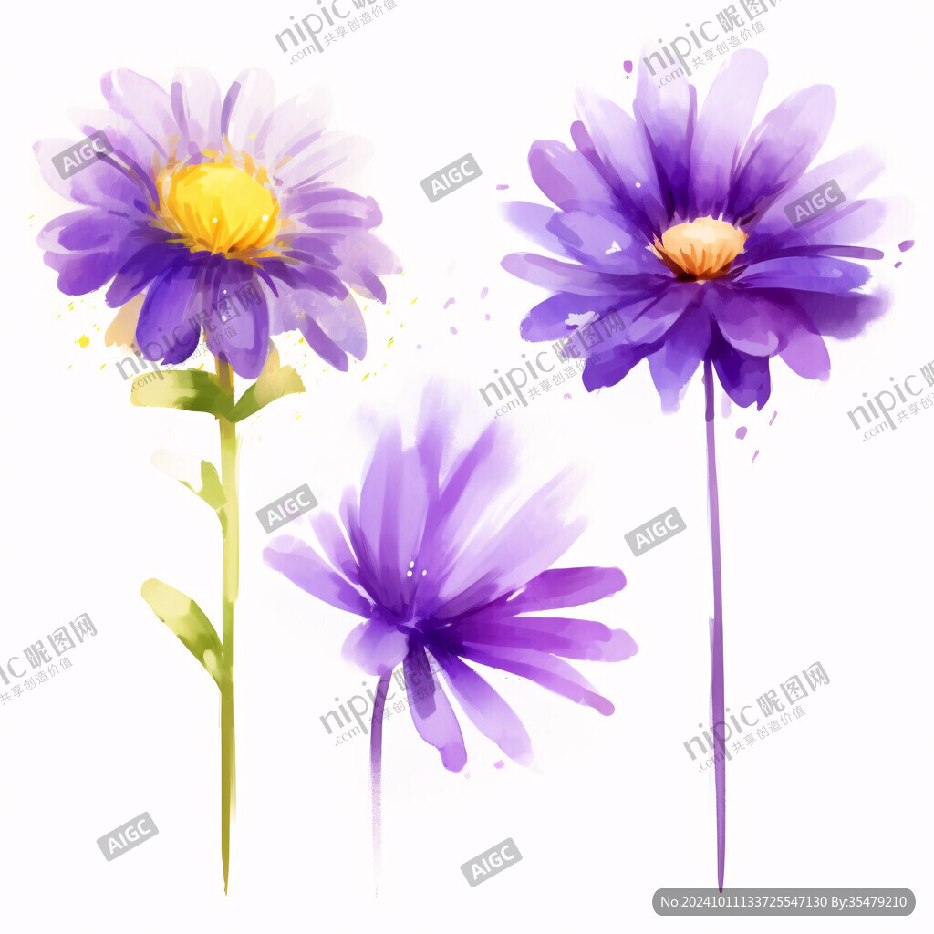 紫色花朵插画
