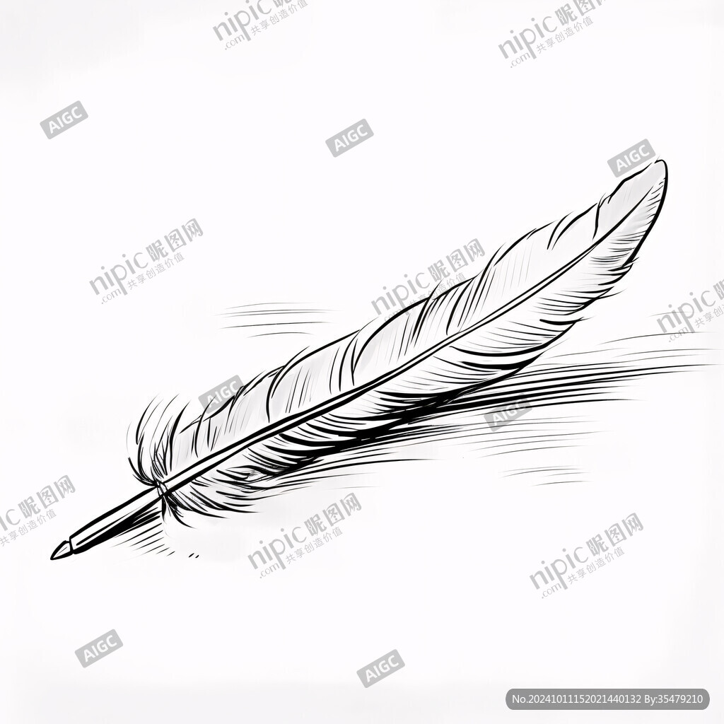 羽毛插画素材