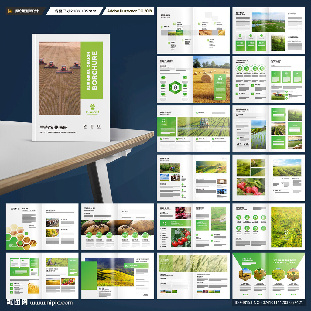 农产品宣传册
