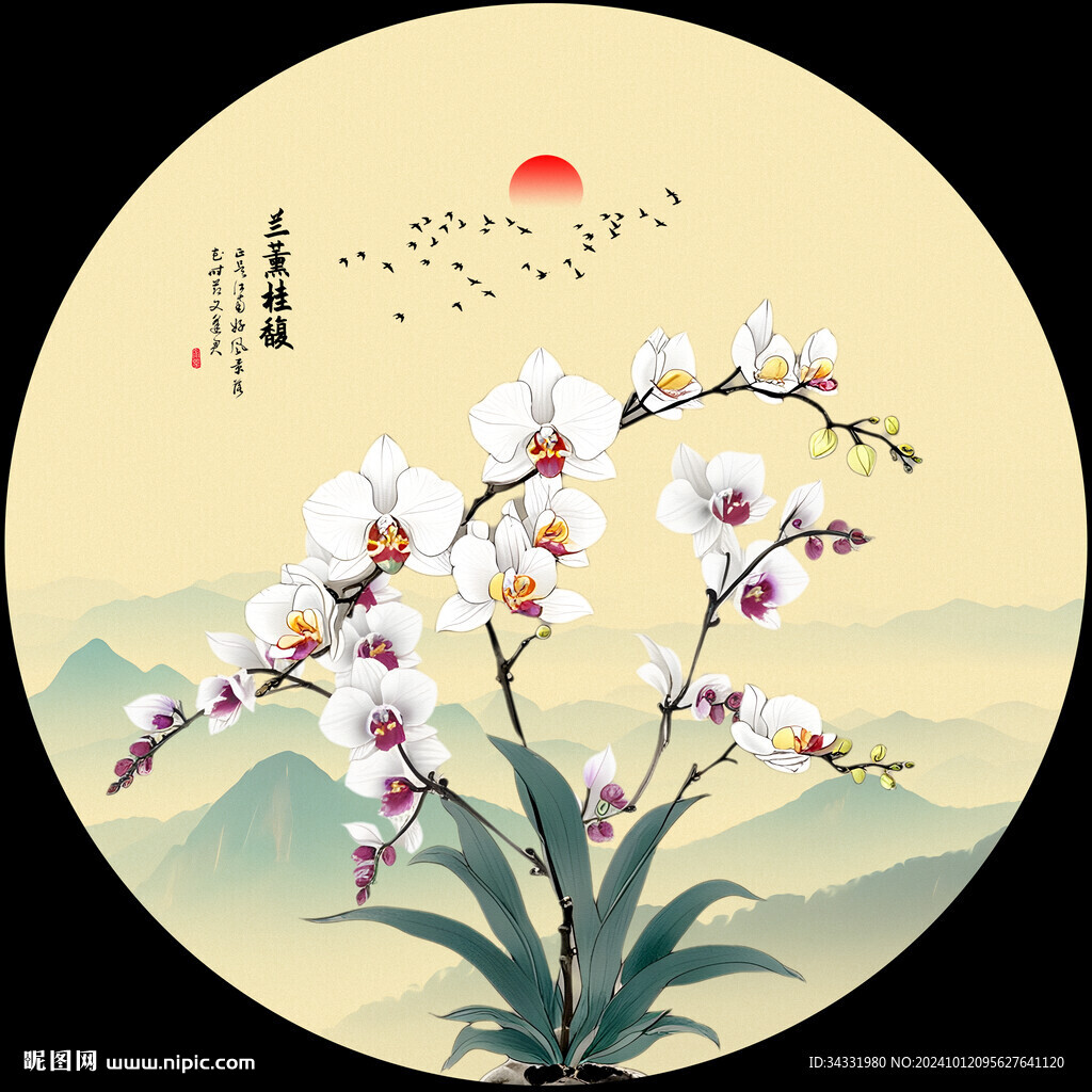 兰花